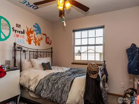 313 Amber Dr, Windsor, CO 80550 photo 21