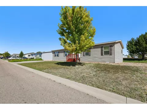 3001 Foxtail Ln, Evans, CO 80620 photo 4