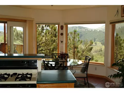 1017 Vision Way, Lyons, CO 80540 photo 11