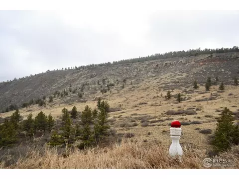 1017 Vision Way, Lyons, CO 80540 photo 22