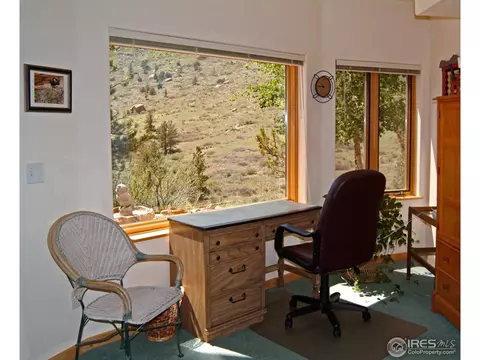 1017 Vision Way, Lyons, CO 80540 photo 17