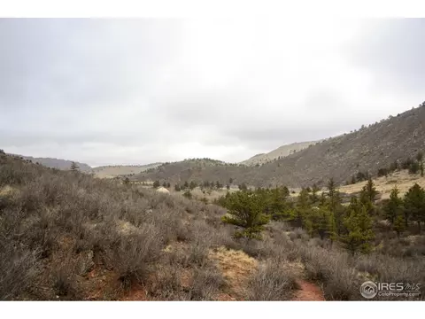1017 Vision Way, Lyons, CO 80540 photo 24