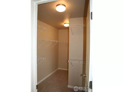 5212 Kempton Dr, Windsor, CO 80550 photo 12