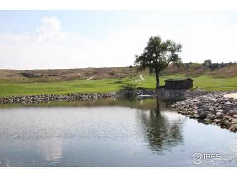 2002 Seapines Ct, Windsor, CO 80550 photo 3