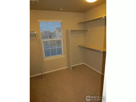 1593 Edenbridge Dr, Windsor, CO 80550 photo 15
