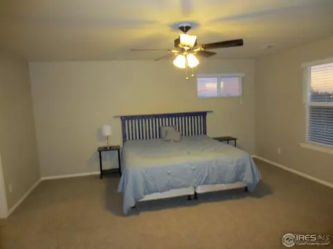 1593 Edenbridge Dr, Windsor, CO 80550 photo 14