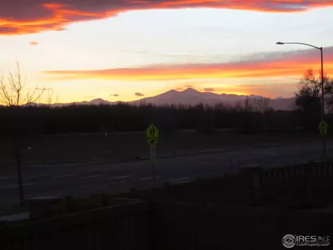 1593 Edenbridge Dr, Windsor, CO 80550 photo 3