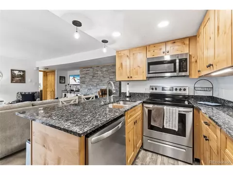 423 Wild Irishman Rd #BLUE GROUS-13202, Dillon, CO 80435