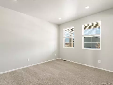 1118 Gunnison River Dr, Windsor, CO 80550 photo 5