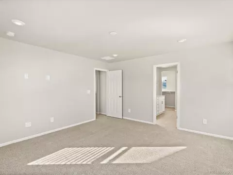 1118 Gunnison River Dr, Windsor, CO 80550 photo 28