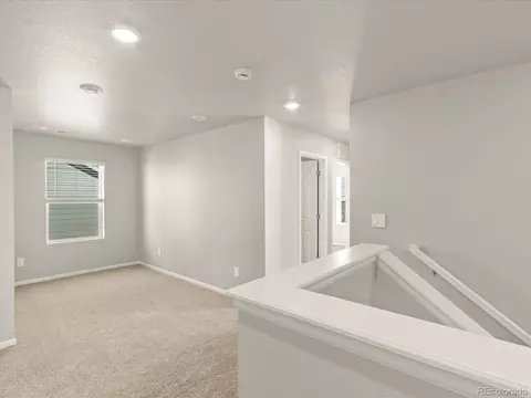 1118 Gunnison River Dr, Windsor, CO 80550 photo 25