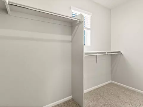 1118 Gunnison River Dr, Windsor, CO 80550 photo 32