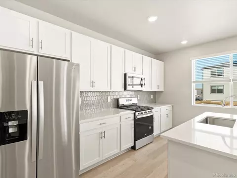 1118 Gunnison River Dr, Windsor, CO 80550 photo 19