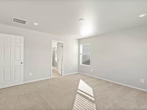 1118 Gunnison River Dr, Windsor, CO 80550 photo 29