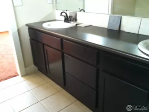 2079 Vineyard Ct, Windsor, CO 80550 photo 3
