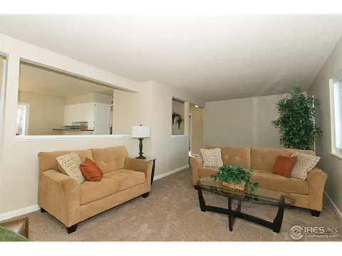 3502 Marigold St, Evans, CO 80620 photo 6