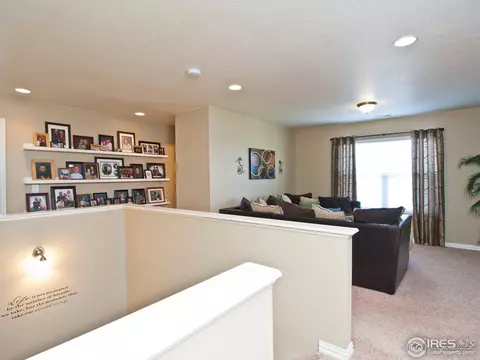 585 Edenbridge Dr, Windsor, CO 80550 photo 22