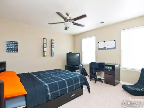 585 Edenbridge Dr, Windsor, CO 80550 photo 20