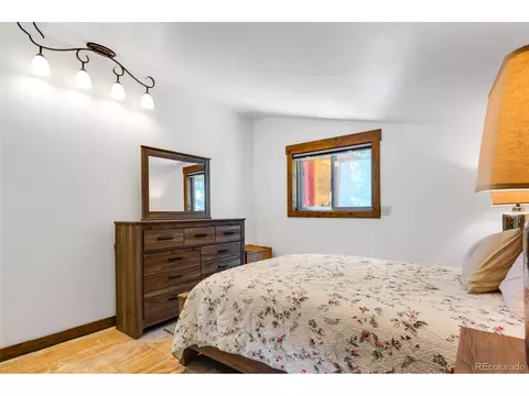 60 Jackson, Alma, CO 80420 photo 37