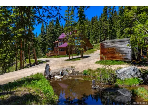 60 Jackson, Alma, CO 80420 photo 5