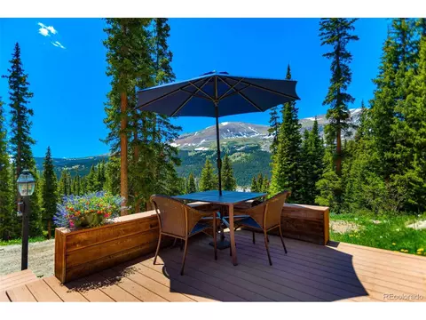 60 Jackson, Alma, CO 80420