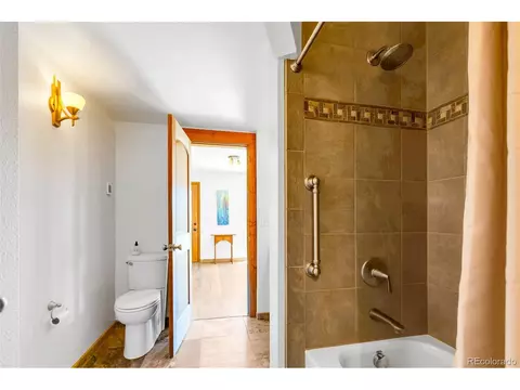 60 Jackson, Alma, CO 80420 photo 18