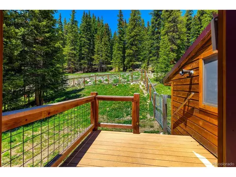 60 Jackson, Alma, CO 80420 photo 28