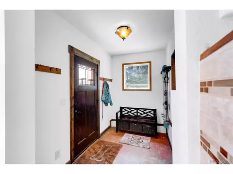 60 Jackson, Alma, CO 80420 photo 42