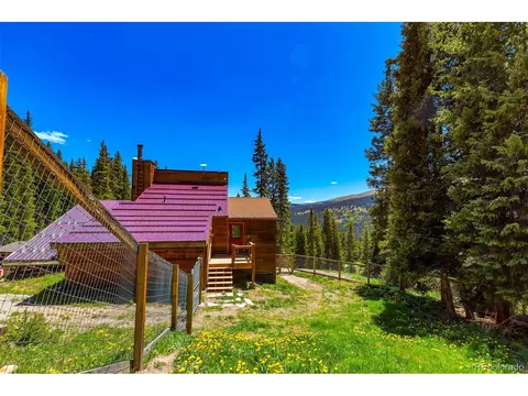 60 Jackson, Alma, CO 80420 photo 29