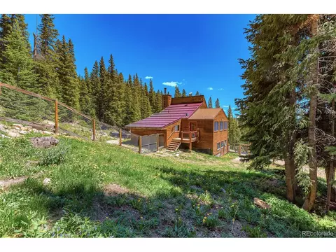 60 Jackson, Alma, CO 80420 photo 30