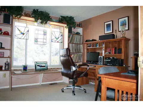 4294 E 126th Ave, Thornton, CO 80241 photo 15