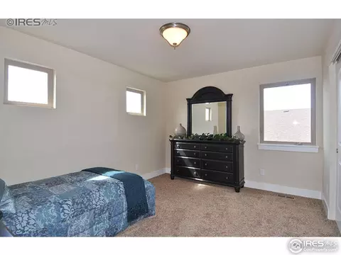 6916 Fireside Dr, Timnath, CO 80547 photo 17