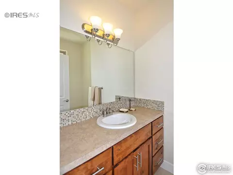 6916 Fireside Dr, Timnath, CO 80547 photo 18