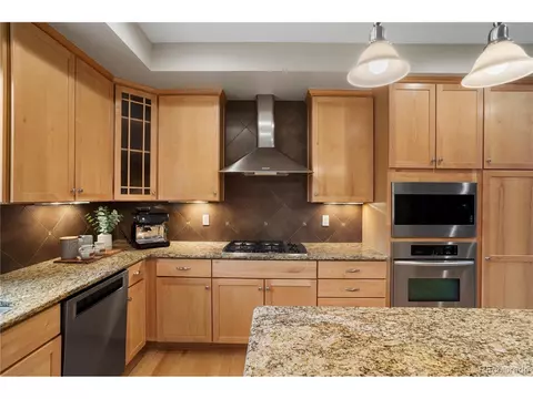 8763 E 29th Pl, Denver, CO 80238 photo 11