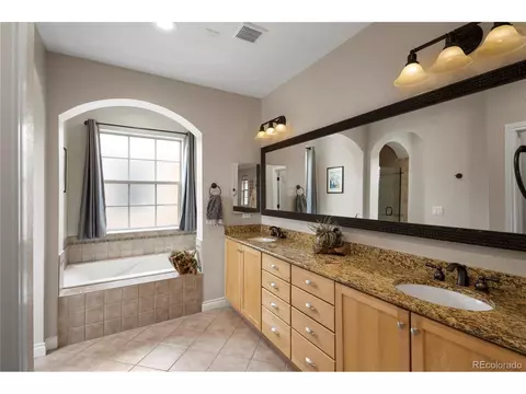 8763 E 29th Pl, Denver, CO 80238 photo 21