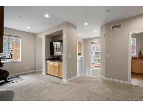 8763 E 29th Pl, Denver, CO 80238 photo 26