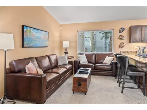 588 Alpine Rd, Dillon, CO 80435 photo 8