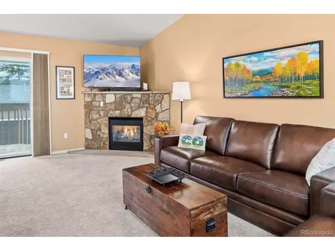 588 Alpine Rd, Dillon, CO 80435 photo 9