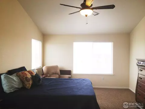 4448 Prairie Ct, Windsor, CO 80550 photo 13