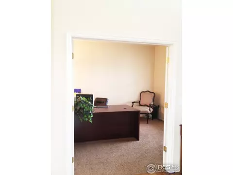 4448 Prairie Ct, Windsor, CO 80550 photo 9