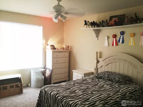 4448 Prairie Ct, Windsor, CO 80550 photo 15