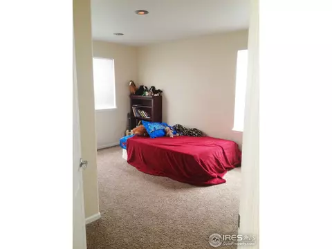 4448 Prairie Ct, Windsor, CO 80550 photo 16