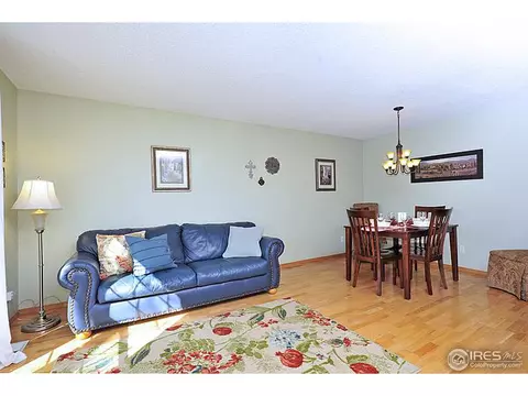 4906 E 109th Ct, Thornton, CO 80233 photo 4