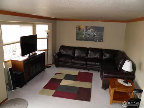 5479 Bobcat St, Frederick, CO 80504 photo 5