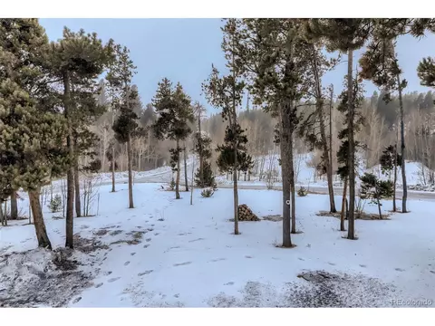 44 Plutus Dr, Black Hawk, CO 80422 photo 28
