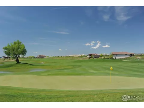 7031 Crystal Downs Dr, Windsor, CO 80550 photo 17