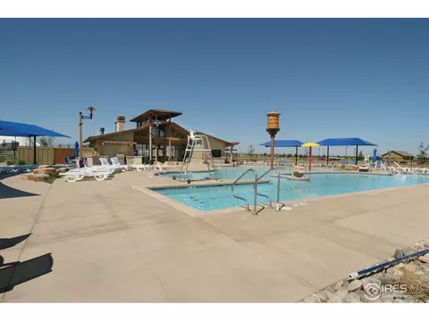 7031 Crystal Downs Dr, Windsor, CO 80550 photo 19