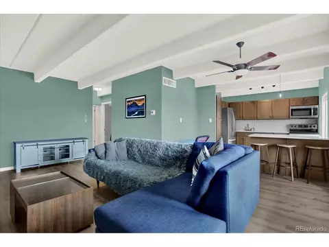 1441 N Humboldt St #704, Denver, CO 80218