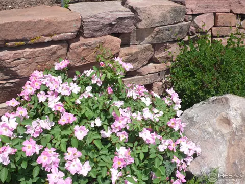 7283 Old Post Rd, Boulder, CO 80301 photo 11