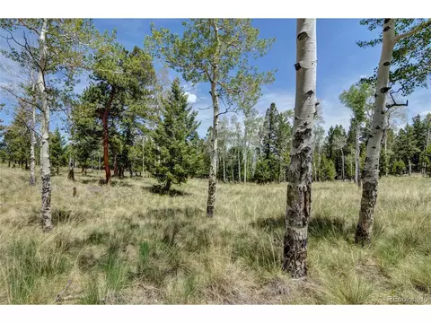 3087 Singletree Rd, Hartsel, CO 80449 photo 4